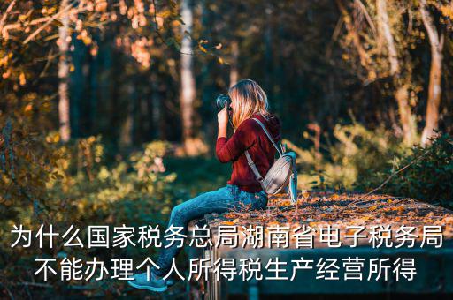 電子稅務(wù)局里面為什么沒有個(gè)稅，個(gè)人所得稅查不到怎么回事