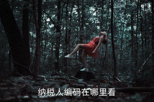 地稅稅源編號(hào)是什么，建筑業(yè)地稅稅源編號(hào)指的是啥