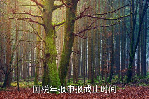 新疆國(guó)稅申報(bào)11月的什么時(shí)候結(jié)束，國(guó)稅年報(bào)申報(bào)截止時(shí)間