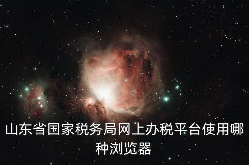 山東省國(guó)家稅務(wù)局網(wǎng)上辦稅平臺(tái)使用哪種瀏覽器