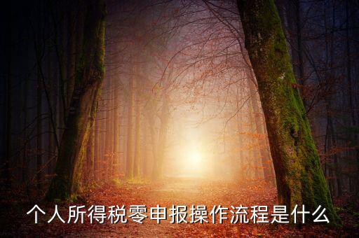 扣繳稅款登記主要流程是什么，納稅流程是怎樣的