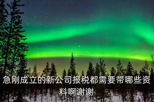 報稅要帶什么資料，增值稅報稅都要準(zhǔn)備哪些資料