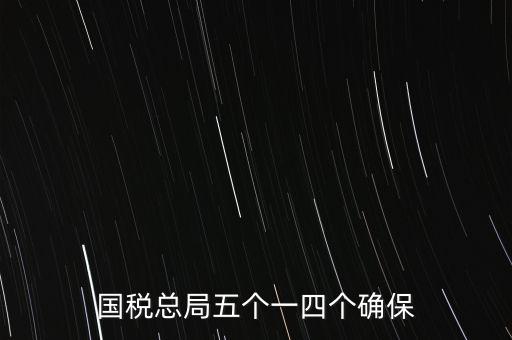 稅務(wù)局五個一是什么時候，國稅總局五個一四個確保