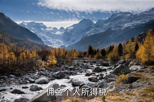 傭金繳納什么稅，傭金個(gè)人所得稅