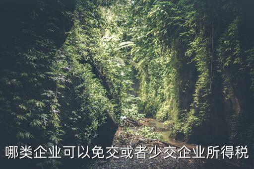 什么情況下企業(yè)可以減免稅收，哪類企業(yè)可以免交或者少交企業(yè)所得稅