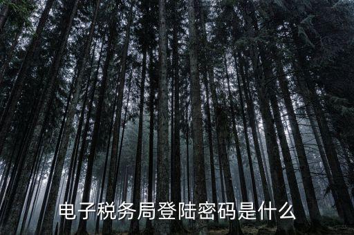 電子稅務(wù)里面的用戶名和密碼是什么，電子稅務(wù)局的初始密碼是多少