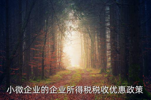 稅務(wù)小微企業(yè)稅收優(yōu)惠是什么，小微企業(yè)的企業(yè)所得稅稅收優(yōu)惠政策