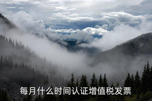 月底認(rèn)證什么發(fā)票，每月什么時(shí)間認(rèn)證增值稅發(fā)票