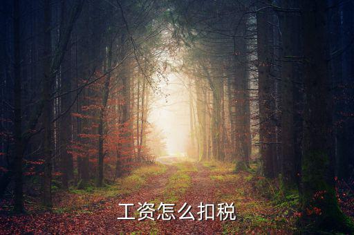 員工工資中的稅是按什么扣的，工資怎么扣稅