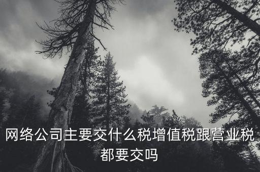 互聯(lián)網(wǎng)企業(yè)交什么稅，互聯(lián)網(wǎng)公司在稅收上有何政策