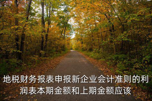 地稅利潤(rùn)表的上期金額指什么，新會(huì)計(jì)制度下利潤(rùn)表中本期金額和上期金額是什么意思