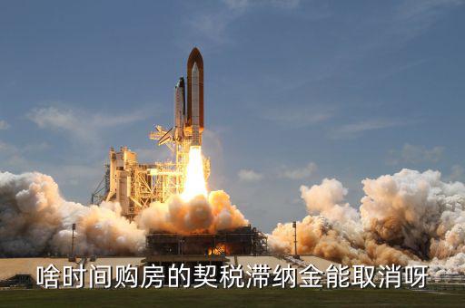 契稅什么時候扣掉，國稅和地稅繳稅期限是什么時候