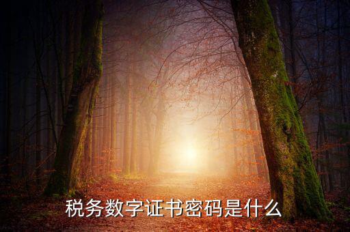 湖北地稅ca登錄密碼是什么意思，地稅CA證書(shū)如何解密碼