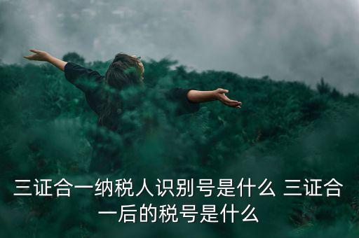 三證合一后稅號是什么，三證合一納稅人識別號是什么 三證合一后的稅號是什么