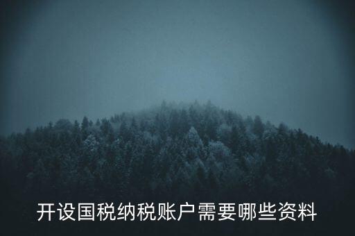 開(kāi)國(guó)稅都需要帶什么資料，開(kāi)設(shè)國(guó)稅納稅賬戶需要哪些資料