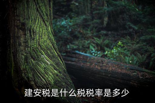 建安稅按什么征，營改增后建安稅稅種稅率有哪些
