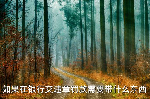 銀行端查詢繳款需帶什么，銀行端查詢繳稅業(yè)務(wù)如何辦理