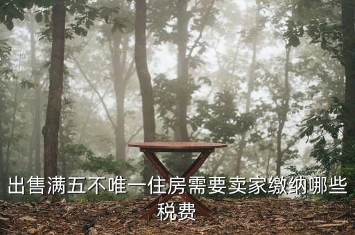 出售滿五不唯一住房需要賣(mài)家繳納哪些稅費(fèi)