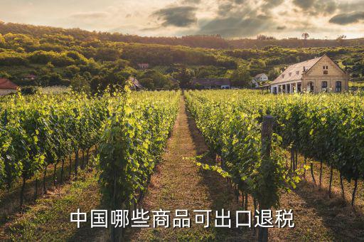 什么貨物出口可以退稅，中國(guó)哪些商品可出口退稅