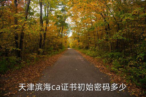 天津ca密碼是什么意思，天津社?？ǔ跏济艽a是多少啊 我是中國(guó)銀行的