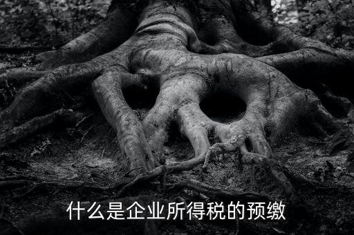 什么是預(yù)交企業(yè)所得稅，什么是企業(yè)所得稅的預(yù)繳