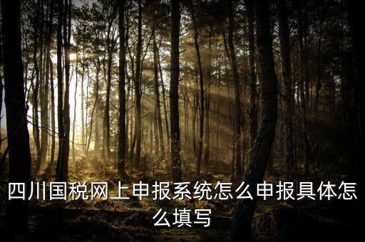 四川國(guó)稅網(wǎng)上申報(bào)系統(tǒng)怎么申報(bào)具體怎么填寫