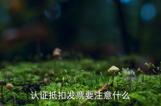 發(fā)票認(rèn)證需要注意什么，認(rèn)證抵扣發(fā)票要注意什么