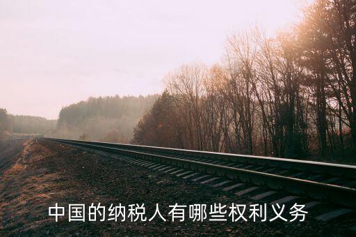納稅服務(wù)什么權(quán)，中國的納稅人有哪些權(quán)利義務(wù)