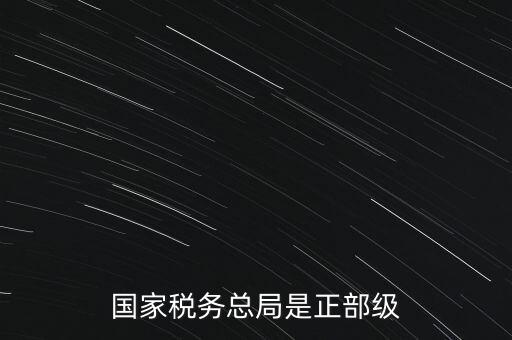 稅務(wù)大廳主任什么級別，金河鎮(zhèn)稅務(wù)務(wù)局局長是什么級別