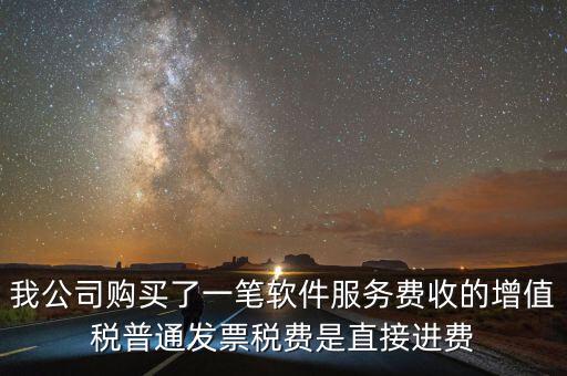 我公司購買了一筆軟件服務(wù)費收的增值稅普通發(fā)票稅費是直接進費
