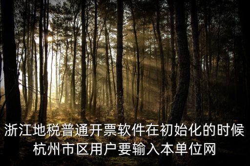 浙江網(wǎng)上稅務(wù)局的注冊碼是什么，浙江地稅因特網(wǎng)辦稅服務(wù)系統(tǒng)注冊碼過期