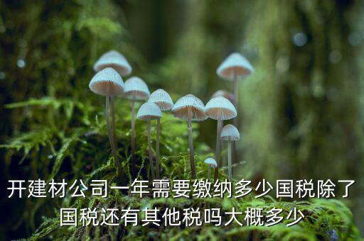 開(kāi)建材公司一年需要繳納多少?lài)?guó)稅除了國(guó)稅還有其他稅嗎大概多少