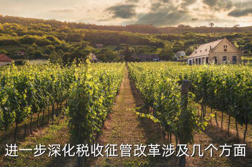 稅務(wù)改革 發(fā)展要什么，論述個(gè)人所得稅改革的基本原則