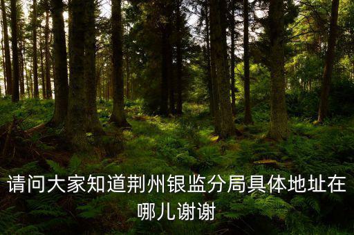 荊州稅務(wù)局在什么地方，請(qǐng)問大家知道荊州銀監(jiān)分局具體地址在哪兒謝謝
