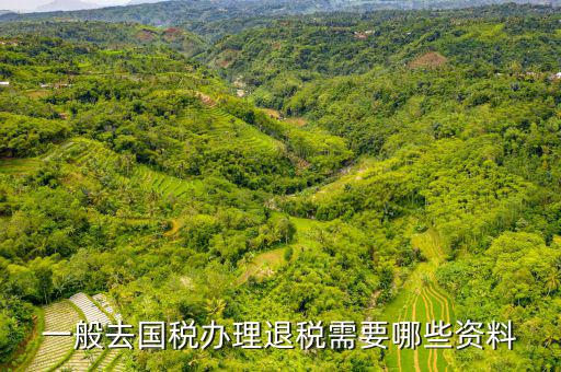 稅務(wù)局退稅要什么手續(xù)，一般去國稅辦理退稅需要哪些資料