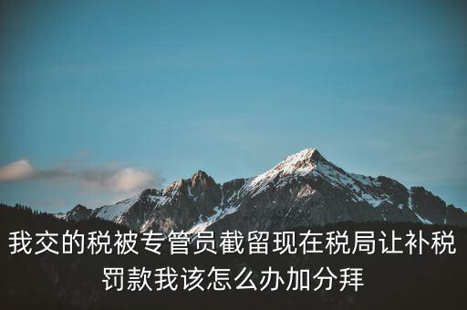 稅務(wù)人員截留稅款受什么處分，我交的稅被專管員截留現(xiàn)在稅局讓補(bǔ)稅罰款我該怎么辦加分拜