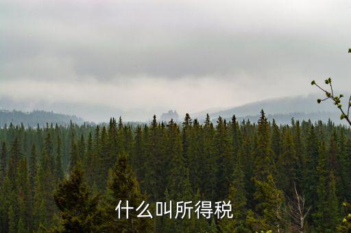 居民企業(yè)所得稅是什么，居民企業(yè)所得稅月度預(yù)繳納稅申報(bào)收入指什么時(shí)候的