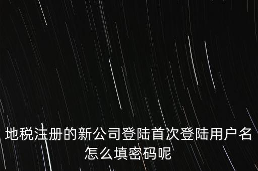 地稅注冊(cè)的新公司登陸首次登陸用戶(hù)名怎么填密碼呢