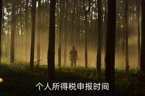 代扣代繳的個(gè)稅什么時(shí)候申報(bào)，個(gè)人所得稅申報(bào)時(shí)間