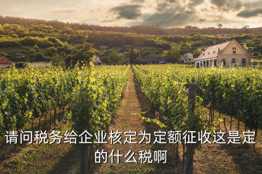 請(qǐng)問(wèn)稅務(wù)給企業(yè)核定為定額征收這是定的什么稅啊
