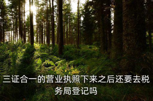 辦完三證合一 要去稅局做什么，三證合一后還需要去國地稅做些什么啊
