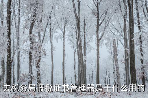 地稅證書管理網(wǎng)是什么，去稅務局報稅證書管理器是干什么用的