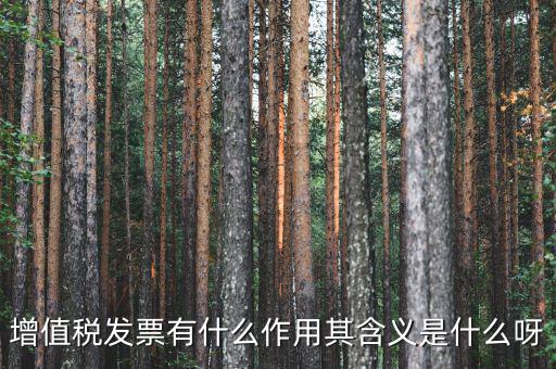 要發(fā)票有什么用，發(fā)票有哪些作用呢