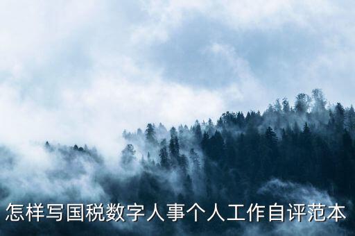國稅數(shù)字人事是什么，專業(yè)的除了可以考會計證和證券從業(yè)資格證以為還可以考什么證
