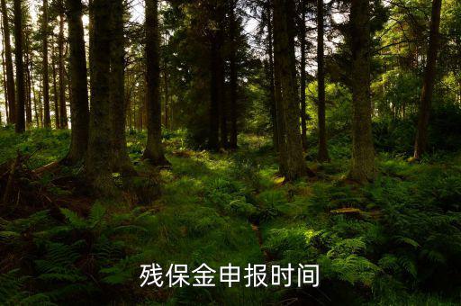 2016殘保金什么時(shí)候交，殘保金是一年一交嗎