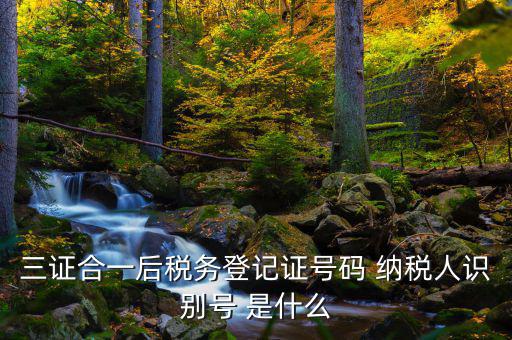 三證合一后稅務(wù)登記證號碼 納稅人識(shí)別號 是什么