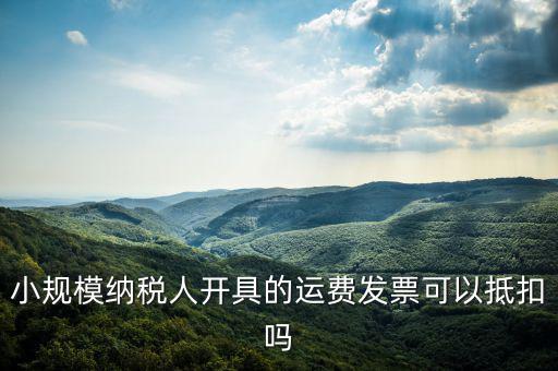 什么樣的運費票可以抵，運輸費增值稅都能用什么票抵扣