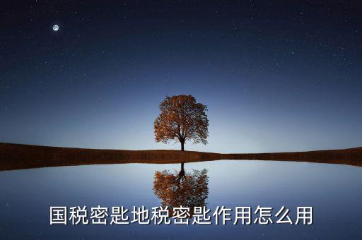 地稅密鑰是干什么的，國(guó)稅密匙地稅密匙作用怎么用
