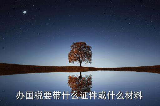 新辦國(guó)稅需要什么資料，第一次買(mǎi)國(guó)稅發(fā)票需要些什么手續(xù)