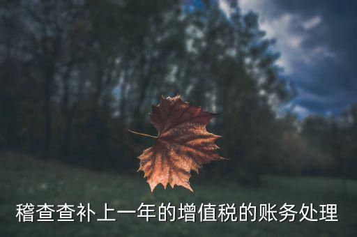稽查補(bǔ)什么稅，請問被國稅局稽查局查處補(bǔ)交增值稅所得稅及滯納金計入應(yīng)哪個科目